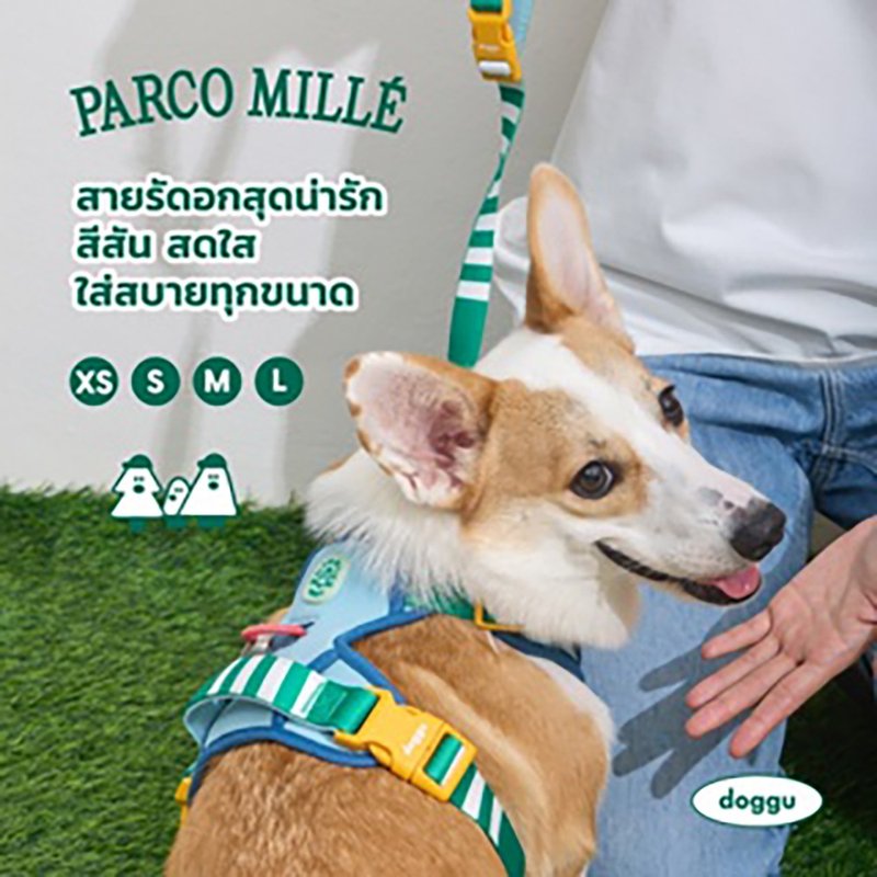 DOGGU PETS Parco Mille Harness Set with Multi-function leash 180 cm - Clothing & Accessories - Other Materials Multicolor