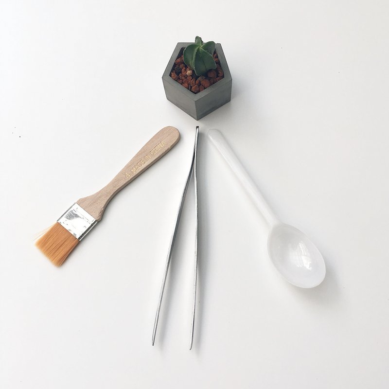 [Planting Tools] Three pieces in a set - planting clip + soil digging spoon + soil cleaning soft brush - Plants - Other Materials Gray