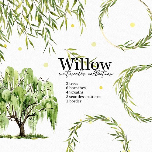 AsyaShuArt Willow Tree Watercolor clipart, Rustic wedding, Logo, Digital files PNG