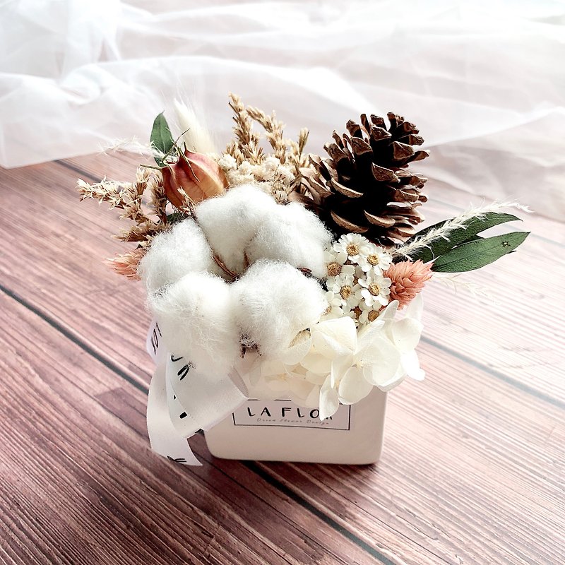 Dried Potted Flower - Dried Flowers & Bouquets - Plants & Flowers White