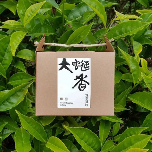 覓幸茶旅 Mystea Journey 大蜒香 | 茶包10入【蜜香烏龍】