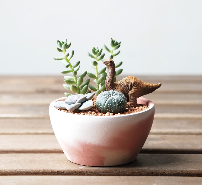 A bowl of Jurassic - Cement succulent potting material package for Year of the Dragon gift New Year's gift Year of the Dragon Zodiac Dragon - Plants & Floral Arrangement - Cement Red