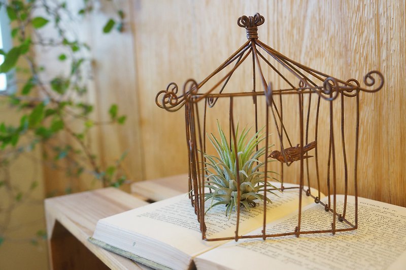 [Potted] Elf House Tillandsia's House (Air pineapple healing office small objects containing plants) Christmas Christmas gifts exchange gifts - ตกแต่งต้นไม้ - พืช/ดอกไม้ สีนำ้ตาล