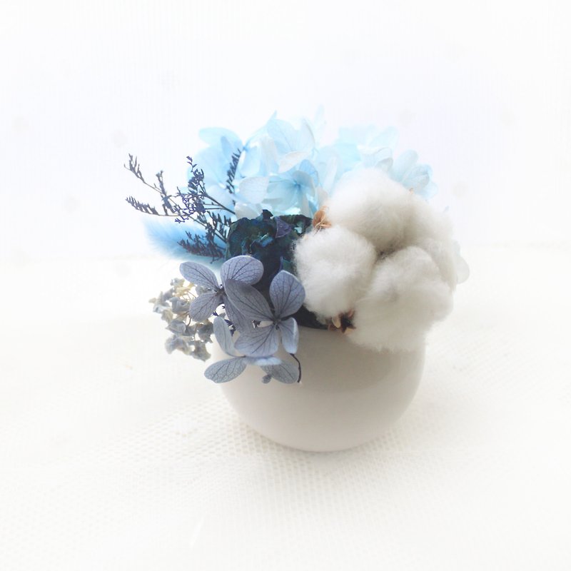 冰雪精靈迷你桌花・藍玫瑰、白棉乾燥花禮 - 花瓶/陶器 - 植物．花 藍色