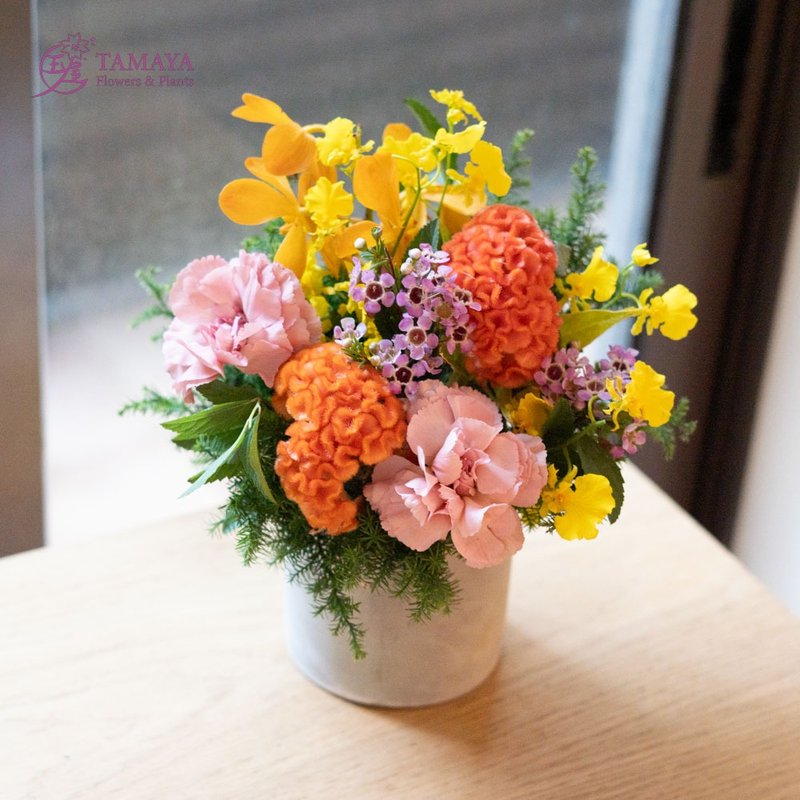 Akane- - Plants - Plants & Flowers Orange