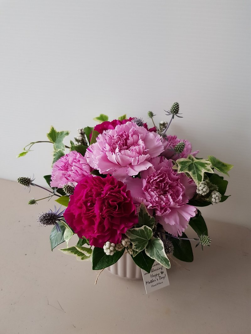 flowers. Love Mommy. Purple imported carnations Mother's Day round pot flower. Whole house delivery. - Plants - Plants & Flowers Purple