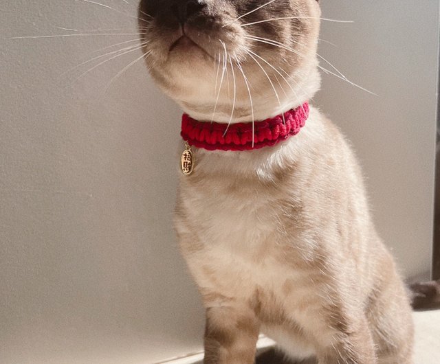 Lucky deals cat collar