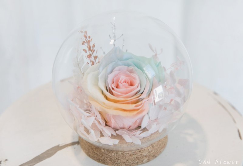 Everlasting rose cup/everlasting flower glass ball/everlasting flower gift/birthday gift/everlasting flower cup/everlasting flower - Dried Flowers & Bouquets - Plants & Flowers Multicolor