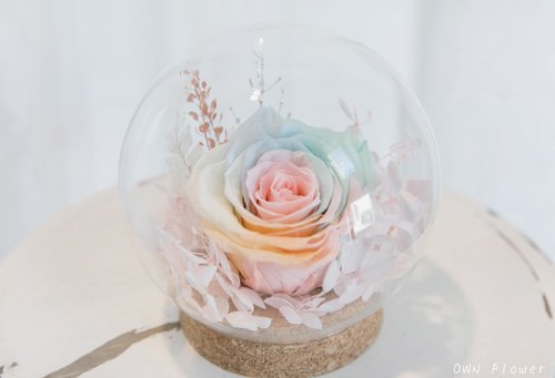 OWN Flower花藝設計 永生玫瑰花盅/永生花玻璃球/永生花禮/生日禮物/不凋花盅/不凋花