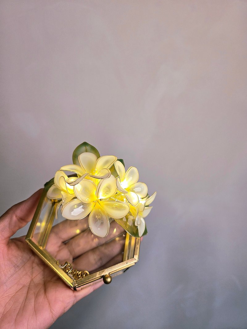 【沾浸藝術•玻璃飾盒】雞蛋花。小夜燈。生日禮物 - 其他 - 樹脂 