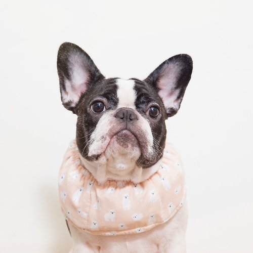 The dog is more beautiful than the cold towel, cool towel, and the fighting  dog, cooling dog collar - blue background - Shop Chubby Rainbow Clothing &  Accessories - Pinkoi