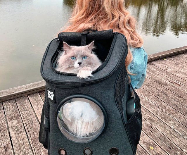 TRAVELCAT 大型猫と太った猫用の猫用トラベルバックパック、折りたたみ