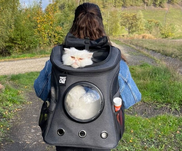 The fat cheap cat backpack