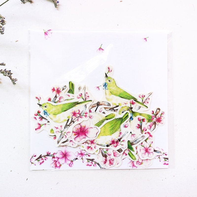 Cherry blossom and Japanese White-eye sticks - Stickers - Paper 