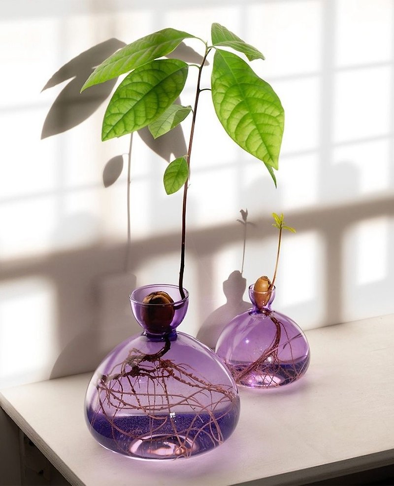 ILEX STUDIO | Avocado glass vase lilac - เซรามิก - แก้ว สีม่วง