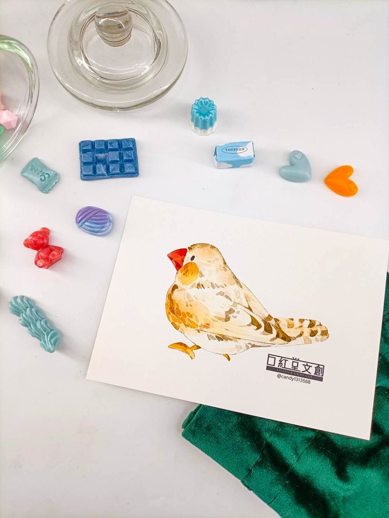 KR474_口紅堂明信片_文鳥3_candy1313588 postcard - 卡片/明信片 - 紙 多色