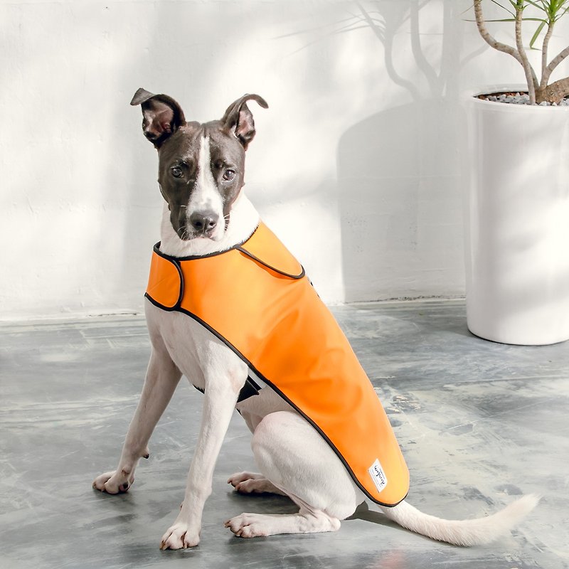 Lockwood pets waterproof jacket/raincoats (NemoOrange) - ชุดสัตว์เลี้ยง - วัสดุกันนำ้ 