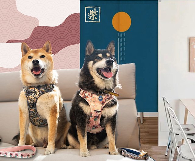 Shiba Inu University a full series of five piece chest and back chest strap leash collar bowknot and bag Shop shibauni Collars Leashes Pinkoi