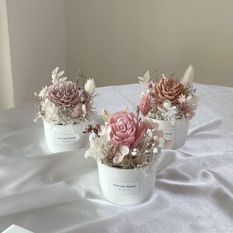 [Fragrance-diffusing small potted flowers] Birthday gift office souvenirs, multi-color options, customized diffusing flowers - Dried Flowers & Bouquets - Plants & Flowers 