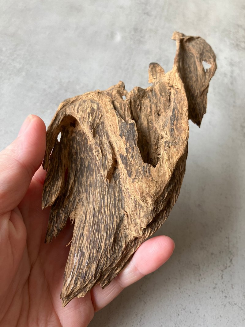 【重油款】野生西馬沉香擺件 (26克) 送展示架 - 香氛/精油/擴香 - 木頭 