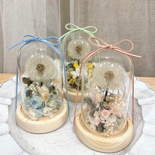 小夢境。Little Dream / 乾燥不凋花藝 小夢境花藝 | 玻璃鐘罩 玻璃器皿 玻璃罩永生花-蒲公英