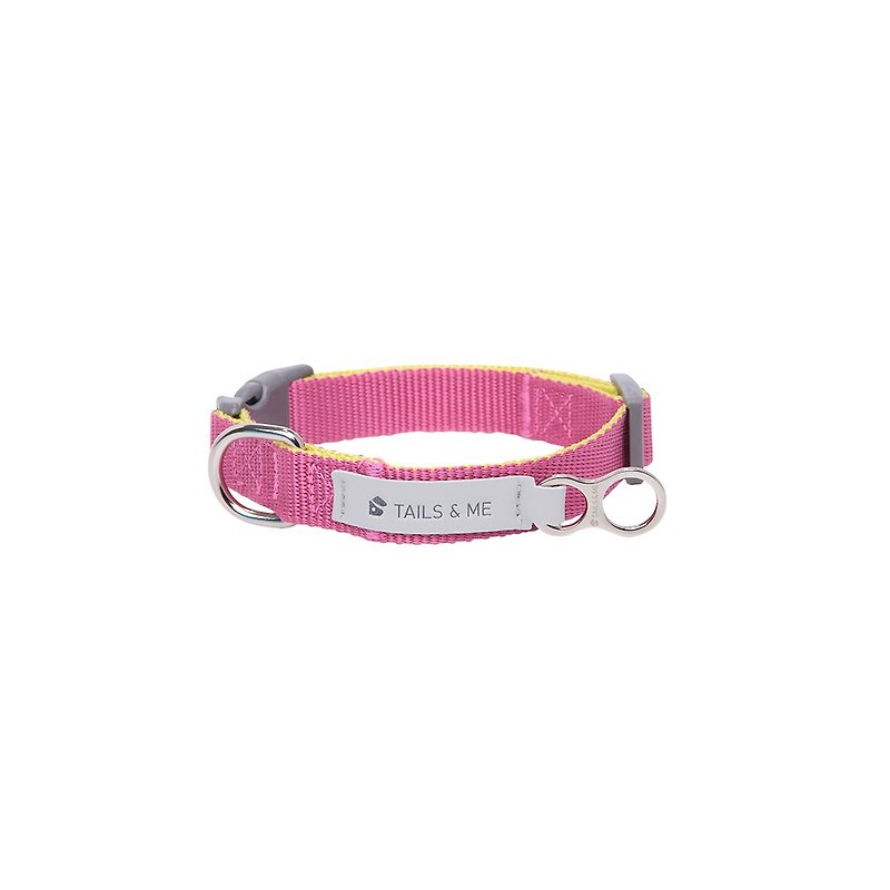 [Tail and me] Classic nylon belt collar purple red / lemon yellow M - Collars & Leashes - Nylon 