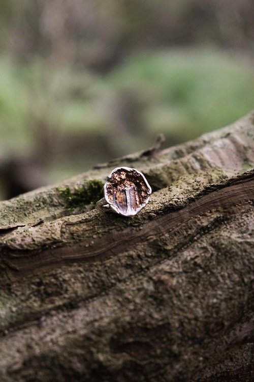 NASHLY手作金工 質感計畫採集行動 — 獨角仙光蠟樹食痕戒指