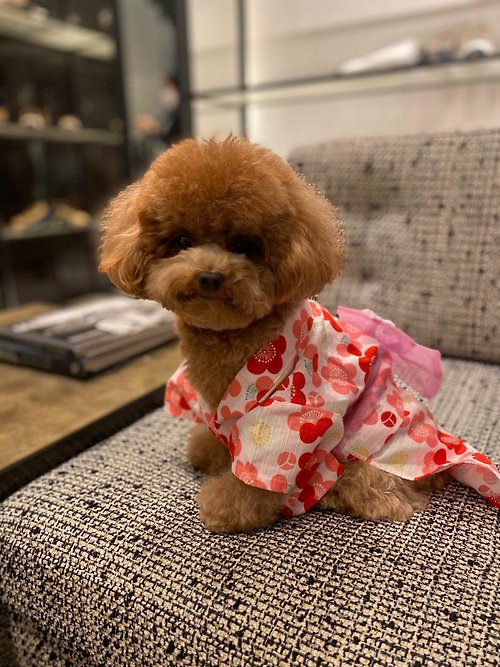 Tambedy Dog Wear HK 日本製 手工寵物和服 女裝和式浴衣 (OTB0038)