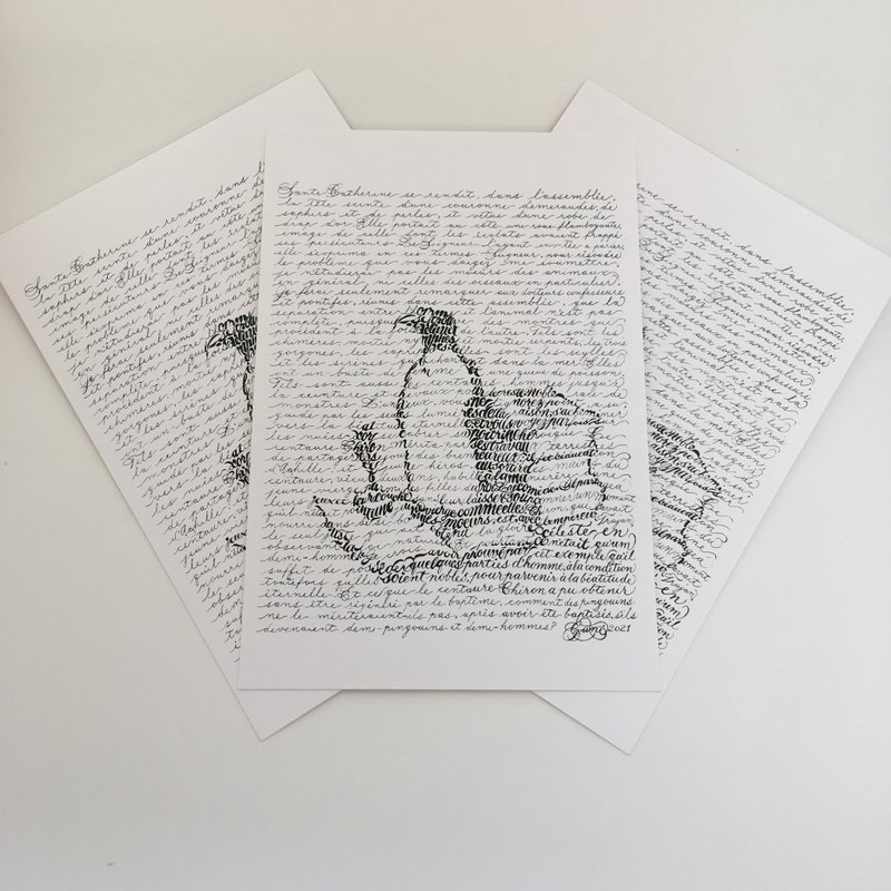 ペンギンの島 ポストカード3枚セット - 卡片/明信片 - 紙 白色