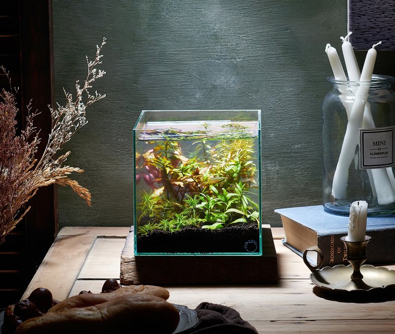 【ECO ZERO】SE+ Cube 透明光科技 水族生態過濾魚缸 (公司貨) - 其他 - 玻璃 透明