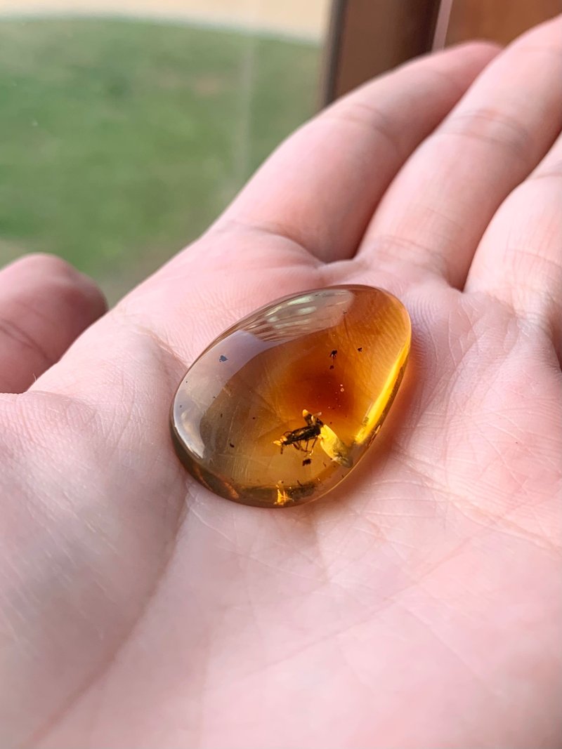 丨Time Series丨Mexico Natural Insect Amber 2.9g - สร้อยคอ - เครื่องประดับพลอย สีเหลือง