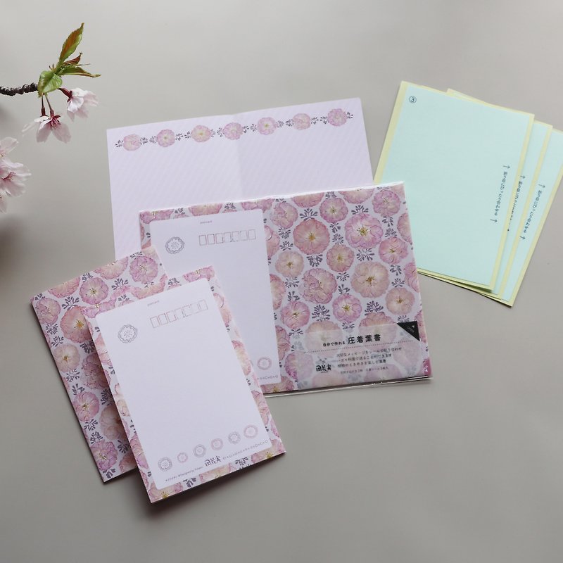 Crimped postcard / Sakura / Made in Japan - Envelopes & Letter Paper - Paper Pink