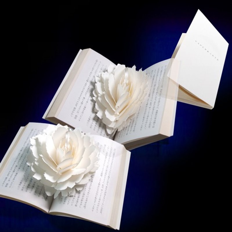 Pop-up Paper Bookmark Peony　Kami-no-Hana no Shiori - Bookmarks - Paper White