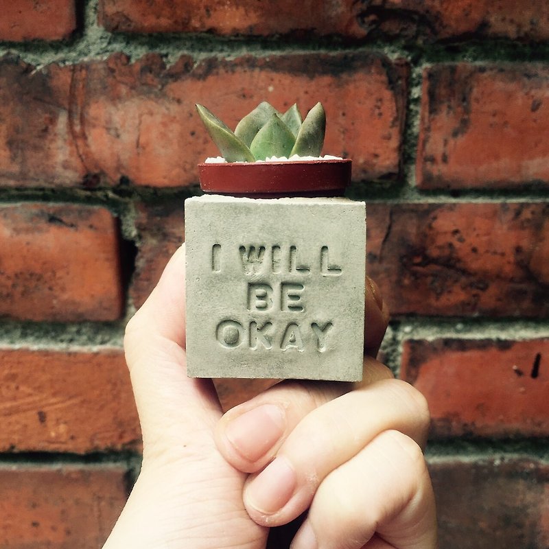 I will be okay~! Succulent Magnet Potted Plants - ตกแต่งต้นไม้ - ปูน สีเทา