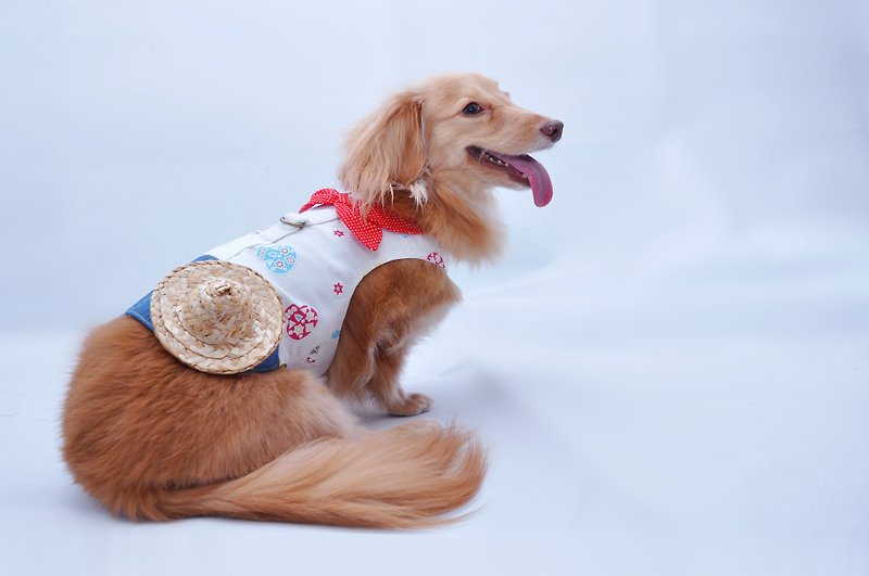 Pirate ParrotAmong corset dog clothes cat clothes - Clothing & Accessories - Other Materials White