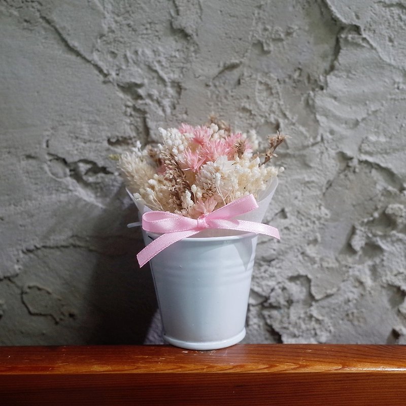 [Q-cute] Dry Flower Small Pot Series - Starlight - ตกแต่งต้นไม้ - พืช/ดอกไม้ ขาว