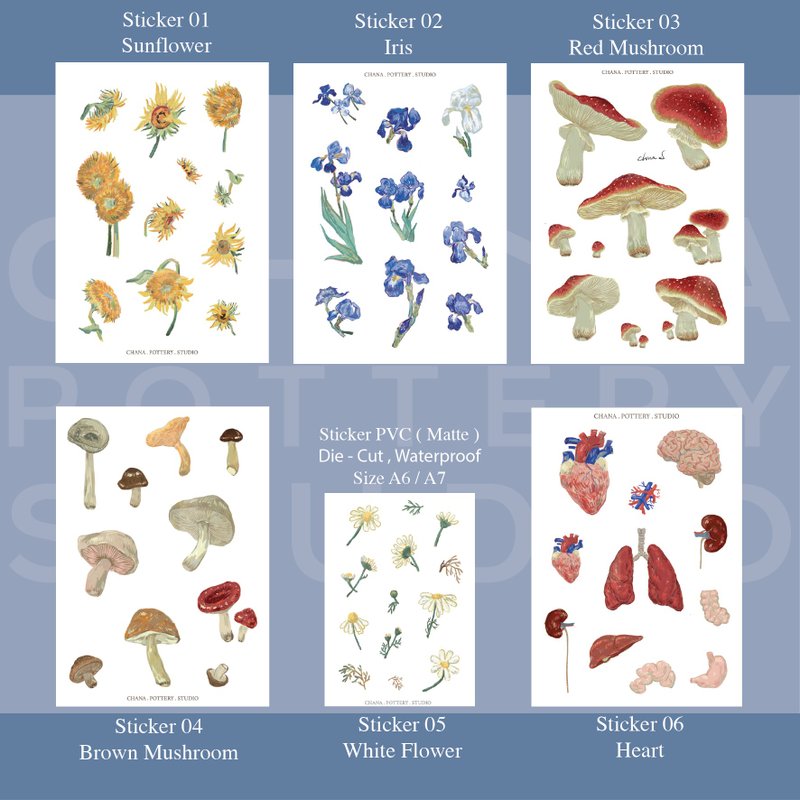 Sticker A6 Flower PVC Matte - 貼紙 - 紙 多色
