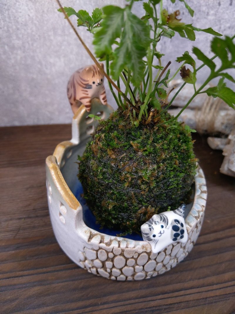 ピーカブーフラワーホール - 観葉植物 - 陶器 