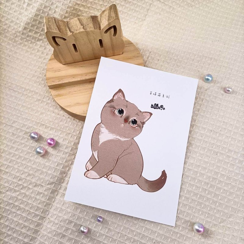 ME183-91_我紙在乎你百喵萌明信片_ill.timing Hundred meow cute postcard - Cards & Postcards - Paper Multicolor