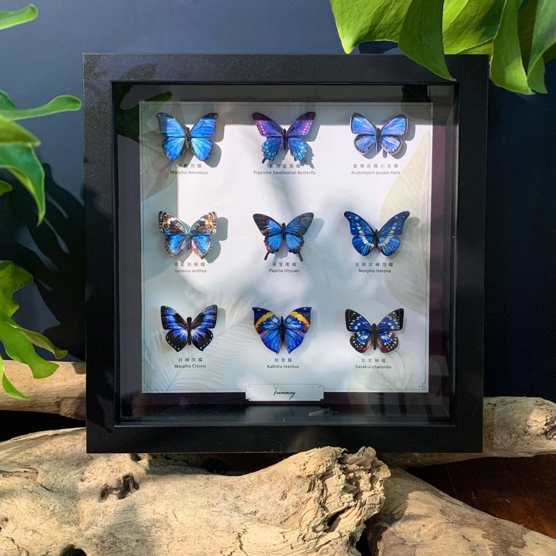 Embroidered Butterfly Photo Frame Butterfly Ornament Handmade Gift Box Gift Birthday Summer Valentine's Day - ของวางตกแต่ง - งานปัก หลากหลายสี