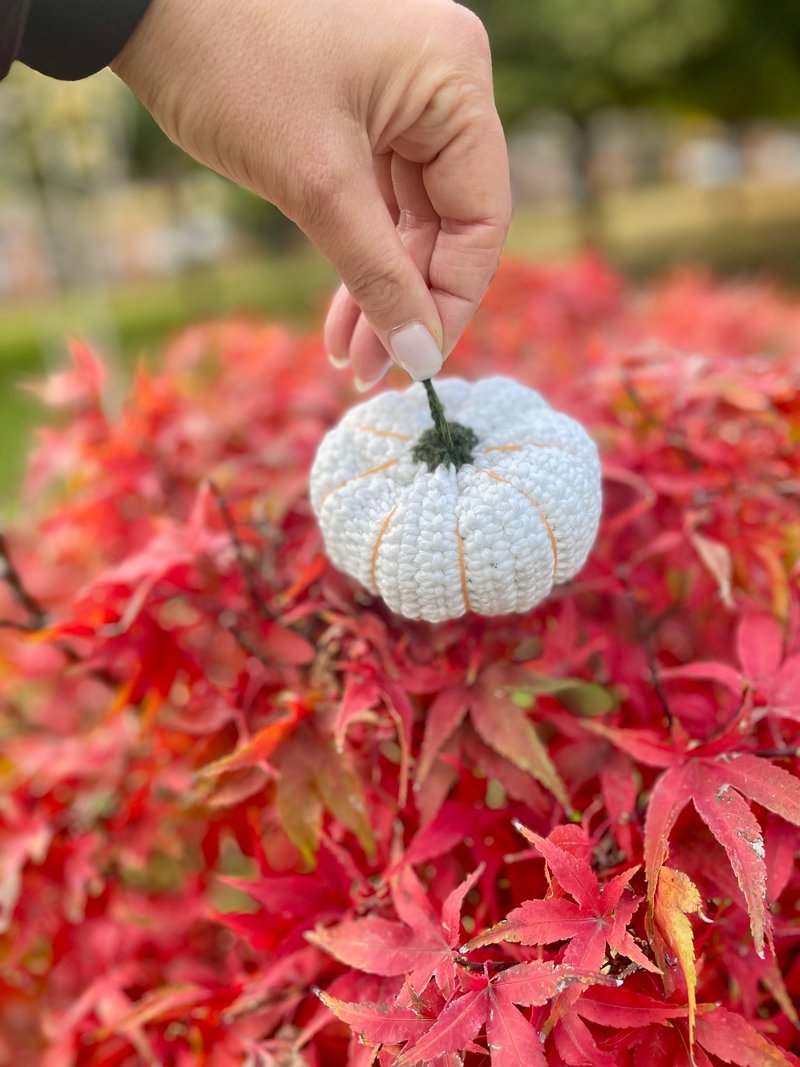 Pumpkin glows in the dark Crochet pumpkin A toy that glows Pumpkinknit - 其他 - 聚酯纖維 白色