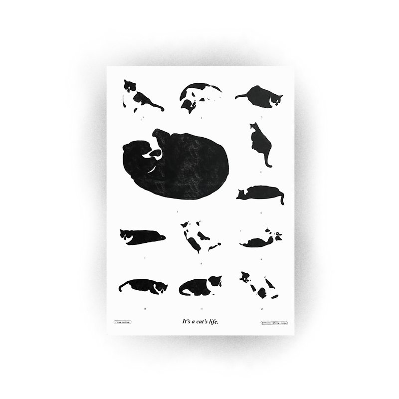 Riso Poster – Cat’s Life - Posters - Paper Black