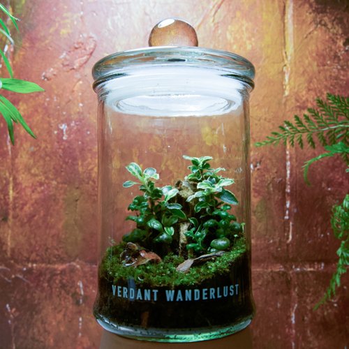 景觀丸藝 Verdant Wanderlust 【生態瓶-小象去哪兒】微景觀 室內植栽 禮物 辦公室擺設