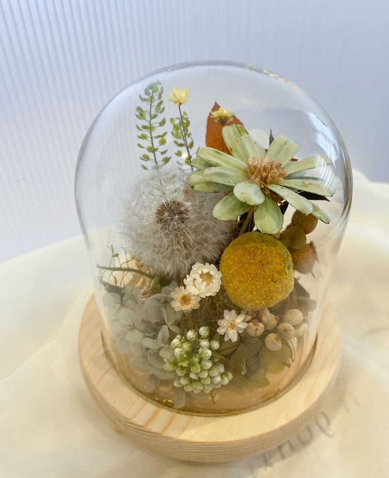 Dandelion Glass Cup Graduation Gift Night Light Dust Cover Valentine's Day Birthday Opening Ceremony - Dried Flowers & Bouquets - Plants & Flowers Gold