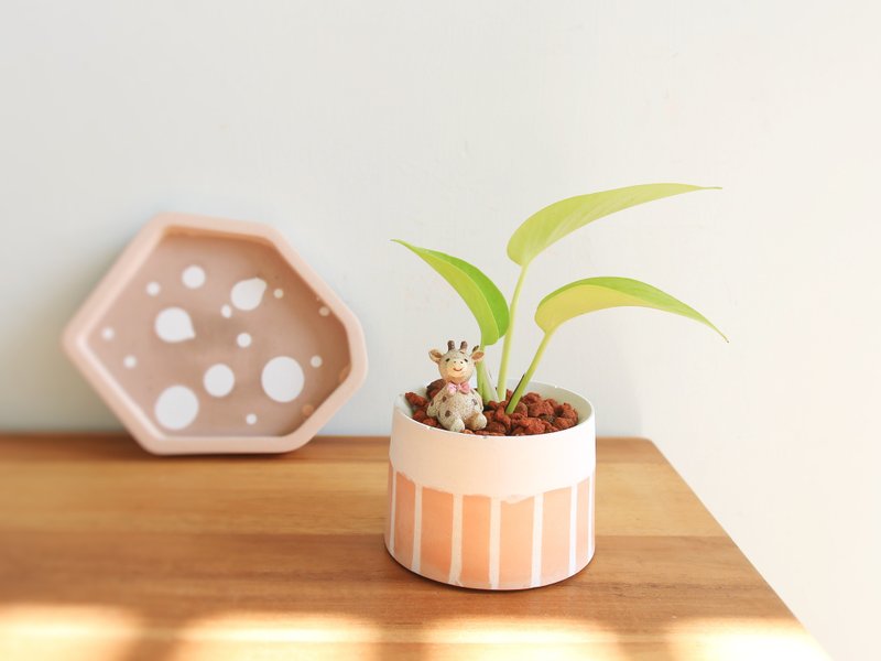 Golden kudzu·pink orange line Cement potted plant can be customized with English letters - ตกแต่งต้นไม้ - ปูน สีส้ม