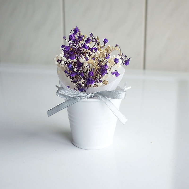 [Q-cute] Dry Flower Small Pot Series - Purple Gypsophila - ตกแต่งต้นไม้ - พืช/ดอกไม้ สีม่วง