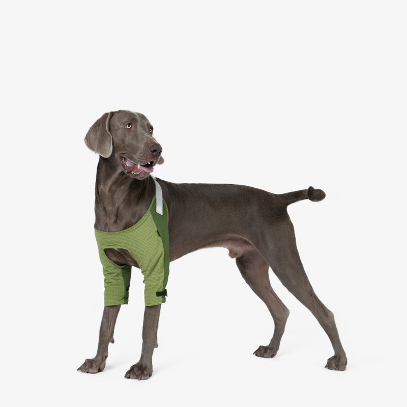 bump up【Elbow Pad】elbow protection clothing for medium to large dogs - Clothing & Accessories - Nylon Green