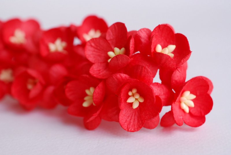 Paper flower, 50 pieces, size 2.5 cm. Cherry blossom, Sakura, red color. - 木工/竹藝/紙雕 - 紙 紅色