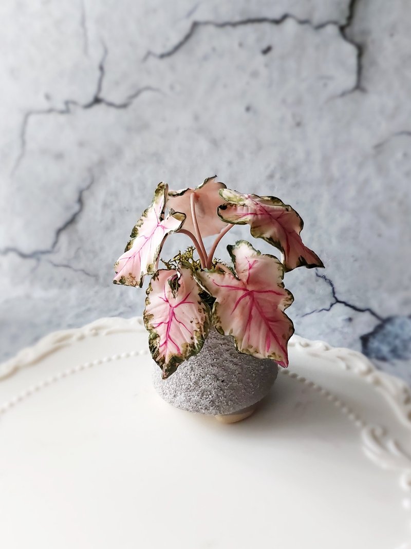 Gypsum Kneading and Sculpting Experience Class for Small Potted Coleus Taro - จัดดอกไม้/ต้นไม้ - ดินเหนียว 