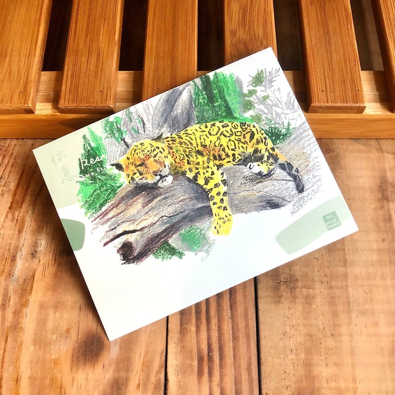Amur Leopard. Endangered Species: Postcard / A card= A donation - Cards & Postcards - Paper White
